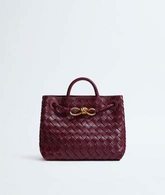 Bottega Veneta Small Andiamo - Bottega Veneta