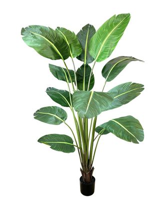 Creative Displays Inc. 6Ft Uv-Rated Outdoor Travelers Palm Drop-In