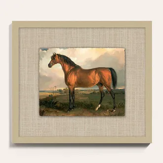 Ballard Designs Carson Kressley The Wild Crown Art - 14 x 16 - Ballard Designs