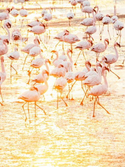 Conoce los 10 destinos instagrameables más bonitos del planeta