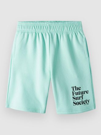 O'Neill Future Surf Kids Korte Broek blauw