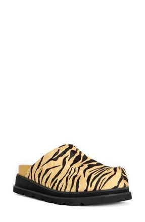 Azalea Wang Sarinda Genuine Calf Hair Clog in Tan Multi at Nordstrom, Size 6.5