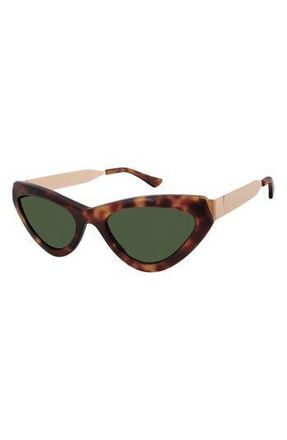 True Religion True Religion 51mm Cat Eye Sunglasses in Tortoise at Nordstrom Rack