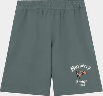 Burberry Men & apos;s Check Flag Cotton Shorts