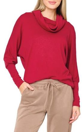 Gibsonlook Cozy Up Cowl Neck Sweater in Cranberry at Nordstrom Rack, Size Xx-Small