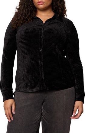 Sanctuary Fitted Textured Stripe Velvet Button-Up Shirt in Black at Nordstrom, Size 2X