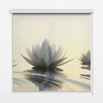 Tulup Tenda A Rullo Interna Per Finestra - Tenda Filtrante Luce - Tenda Privacy - Tenda Decorativa Rettangolare - Rullo Per Interni - (150 Cm X 180 Cm) - Ni