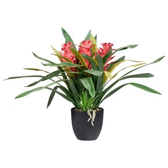 Beliani Planta Artificial En Maceta Para Interior Decoraci&oacute;n De Pl&aacute;stico Con Maceta Negra Guzmania Atilla