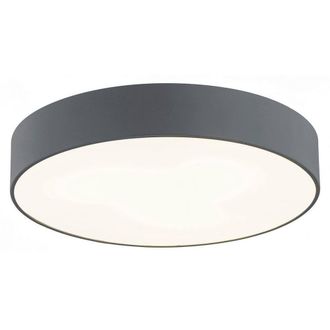 Netlighting Darling 35cm Flush Ceiling 2 Light DarkGrey Structure in Dark Grey