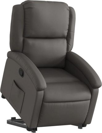 vidaXL Vidaxl - Sill&oacute;n Reclinable Elevable Cuero Aut&eacute;ntico Gris