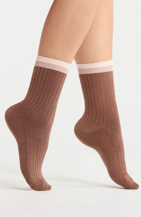 Nordstrom Tipped Wide Rib Dress Socks in Brown Nut at Nordstrom, Size 9
