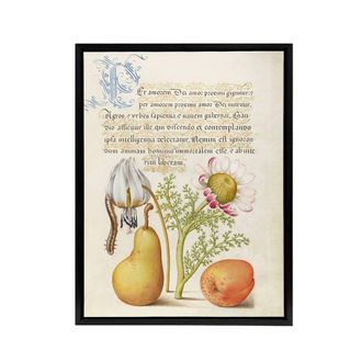 Artery8 Caterpillar Flowers & Fruit Calligraphy Framed Canvas Wall Art Print | Size: W24 x H32