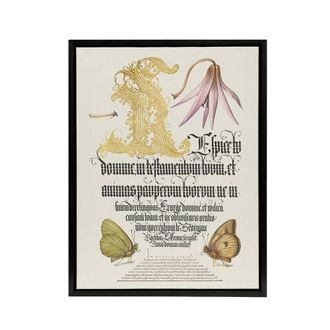 Artery8 Dog Tooth Violet & Butterflies Calligraphy Framed Canvas Wall Art in White | Size: W24 x H32