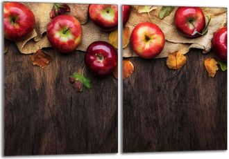 OEM Placa Protectora De Vidrio Para Estufa 2x40x52 Manzanas