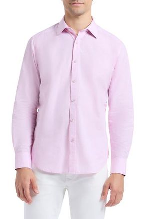 Robert Graham Avondale Cotton Button-Up Shirt in Light Pink at Nordstrom, Size Xxx-Large