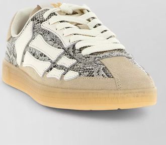 Amiri pacific bones snakeskin low top sneakers