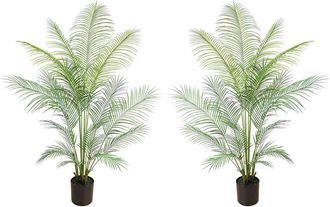 Creative Displays Inc. Outdoor Uv-Rated 5.5Ft Kentia Palm Drop-In Trees