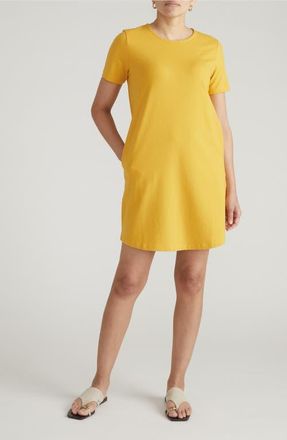 Universal Standard Halie T-Shirt Dress in Goldenrod Yellow at Nordstrom, Size 2Xl