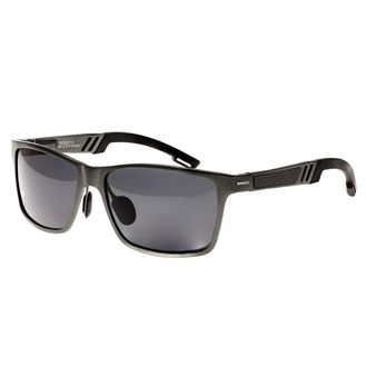 Breed Ras Pyxis titanium gepolariseerde zonnebril
