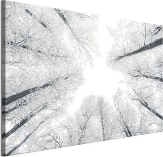 OEM Cuadro Sobre Lienzo Italiano De 90 X 60 Cm - Estilo Escandinavo - Naturaleza Cuadro Sobre Lienzo Italiano De 120 X 80 Cm - Estilo Escandinavo - Natura