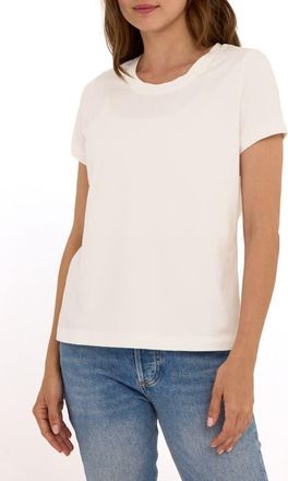 Threads 4 Thought Emmy Essential Organic Cotton T-Shirt in White at Nordstrom, Size Xx-Large