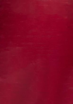 Nazar Rugs Alfombra lisa de pelo largo y suave lavable - burdeos - 200x290 cm