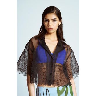 Topshop Embroidered Mesh Crop Top in Black at Nordstrom, Size Medium