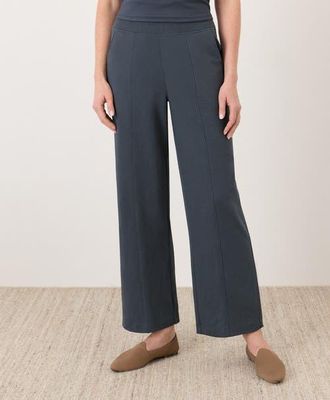 Pact Organic Cotton Airplane Pintuck Wide Leg Pant in Steel Blue at Nordstrom, Size Xx-Large 26