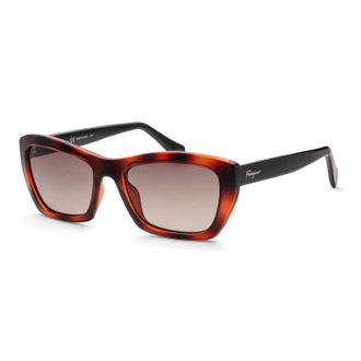 Ferragamo SF958S 214 Havana/Grey