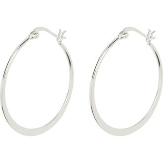Argento Vivo Large Flat Hoop Earrings at Nordstrom Rack