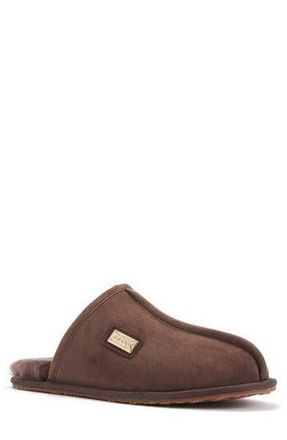 Australia Luxe Twinface Sheepskin Genuine Shearling Lined Scuff Slipper in Burnt at Nordstrom Rack, Size X-Small