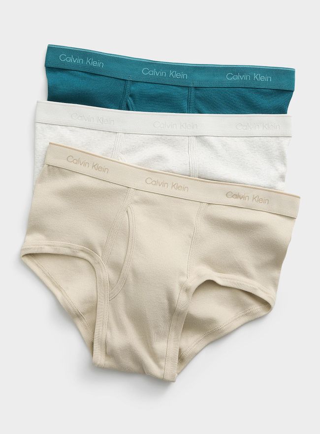 Mens Grey/teal/beige briefs Cotton Classic 3-pack