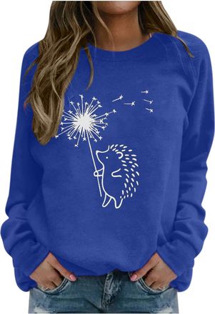 Generic Womens Fashion Top Blouse Hedgehog Print Long-sleeved Hooded Sweatshirts Casual Fashion Blouse Pullover Womens Pullover Hoodie Sweatshirt (Blue, XL)