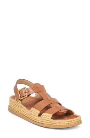 Dolce Vita Shenna Slingback Platform Sandal in Saddle Leather at Nordstrom Rack, Size 6.5