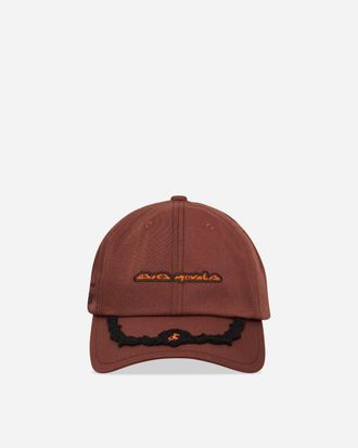 Asics Novalis Mirbelioids Cap Mole