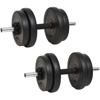 vidaXL Manubrio con Dischi 40 kg