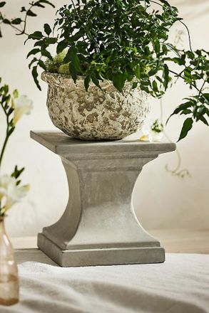 Terrain Cement Pedestal Plant Stand, Square