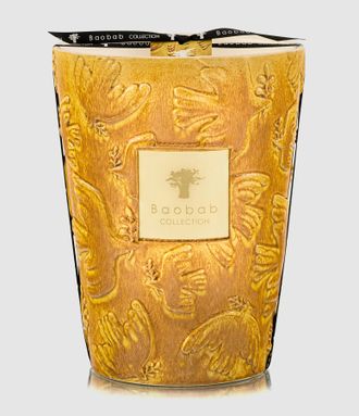 Baobab Bougie Max 24 Paz Dove, &Eacute;dition Limit&eacute;e