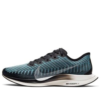 Nike Zoom Pegasus Turbo 2 Pumice AT2863-006