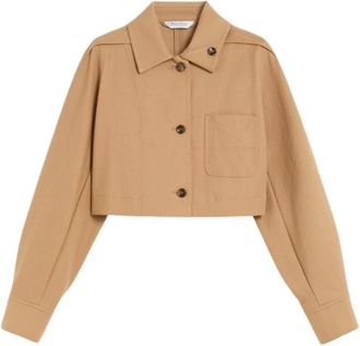 Max Mara Jassen, Dames, Bruin, M, Katoen, Stijlvolle Katoenen Jas met Scherpe Kraag