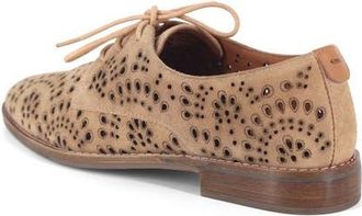 Gentle Souls Aronson Derby in Porcini Suede at Nordstrom, Size 5.5