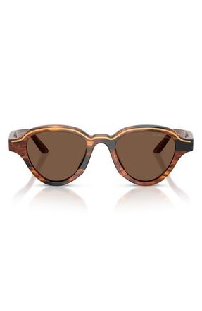 Emporio Armani 47mm Small Irregular Sunglasses in Shiny Striped Dark Brown at Nordstrom