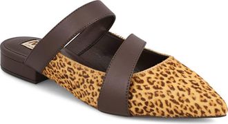 Mia Abie Pointed Toe Mule in Cheetah/Dark Brown at Nordstrom, Size 7.5