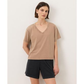 Pact Organic Cotton Vintage Jersey V-Neck Tee in Washed Driftwood Brown at Nordstrom, Size Xx-Large