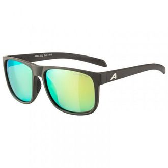 Alpina Nacan III Mirror Cat. 3 Sonnenbrille - Unisex | bunt
