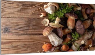 OEM Placa Protectora De Vidrio Para Estufa 90x52 Setas