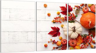 OEM Placa Protectora De Vidrio Para Estufa 3x30x52