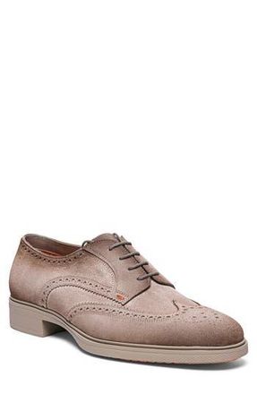 Santoni Easy Wingtip Brogue Derby in Brown at Nordstrom Rack, Size 9.5