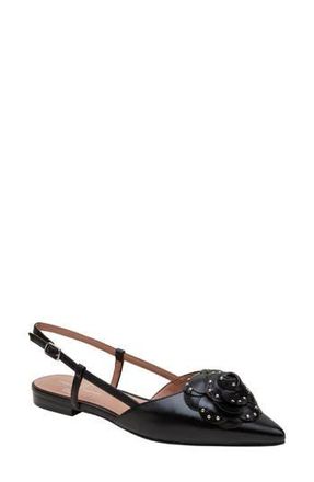 Linea Paolo Cadie Slingback Pointed Toe Flat in Black at Nordstrom Rack, Size 8.5
