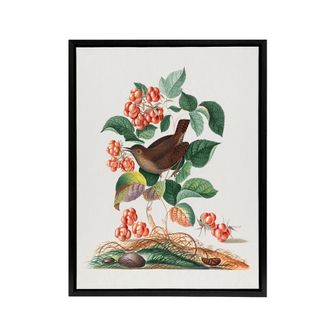Artery8 Eurasian Wren & Raspberry Plant Bolton Black Framed Canvas Wall Art | Size: W24 x H32